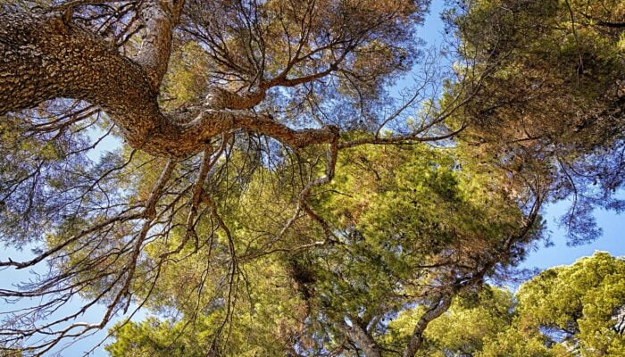 How to design a sustainable bathroom